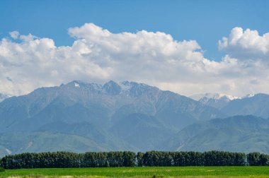 Yazın eteklerin nefes kesici manzarasının tadını çıkar. Çiftlik arazisinin cazibesini ve sükunetini hissedin. Yürüyüş ve piknik gibi açık hava maceraları için ideal..