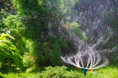 Bahçenizi kolay suyla sulandırın. Su bitkileri ve çiçekler verimli bir şekilde bahçeyle uğraşırken zaman ve çaba kazandırır..