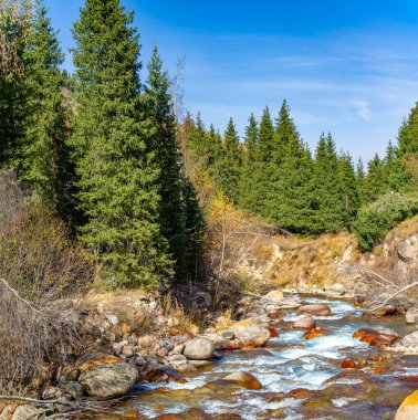 Kendinizi sonbaharın huzurlu güzelliğine daldırın. Parlak ormanların içinden akan berrak bir nehrin dinginliğini hissedin. Tien Shan Dağlarının manzaralarını keşfedin.