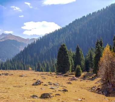 Tien Shan Dağları 'nın görkemli güzelliğini tecrübe edin. Yeşil ladin ve huş ağaçlarının ahenkli birleşiminden büyülenip büyüleneceksiniz..