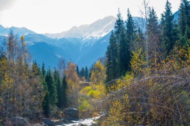 Kendini doğanın senfonisinin sükunetine bırak. Sonbahar kucaklaşmasının güzelliğine dalın. Parlak ormanların arasından süzülen berrak bir nehir keşfedin..