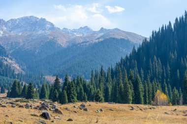 Sonbaharda Tien Shan dağlarının nefes kesici güzelliğinin tadını çıkar. Huzurlu ve huzurlu bir çevrede bir gezinti yap. Doğanın canlı renklerinin, yemyeşil ve canlı çiçeklerinin tadını çıkar..
