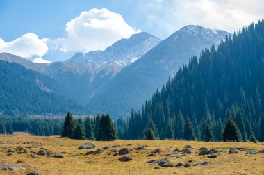 Sonbaharın güzelliğini tüm ihtişamıyla tecrübe et. Kendinizi doğanın canlı renklerine ve nefes kesici manzaraya daldırın. Heybetli tepeler ve sık ormanlar arasında ilham ve sükunet bul.