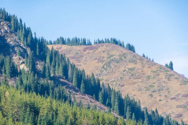 Görkemli sonbahar zirveleri, yemyeşil bir orman denizi ile çevrili, sıcak altın renkleri ile yıkandı. Doğa İlham Sonbahar Görkemi