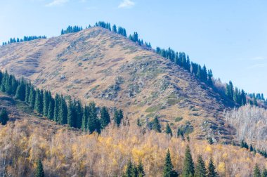 Sonbaharın güzelliğini resmedilmeye değer bir dağ manzarasında yaşayın. Ormanın büyüleyici dönüşümüne tanık olun. Kendini Tien Shan 'ın çarpıcı manzaralarına daldır..