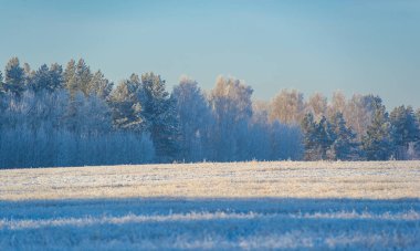 Karla kaplı alanı nefes kesici manzaralarla keşfedin. Parlak mavi gökyüzünün altında sonsuz maceralar keşfedin. Doğanın büyüleyici kollarında kaybolun.