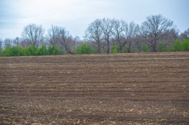 Bahar Alanı 'nda deneyim artışı ve yeni başlangıçlar. Tarlada büyümenin avantajlarından yararlan. Bahar Alanı ile yeni fırsatların potansiyelini serbest bırak.