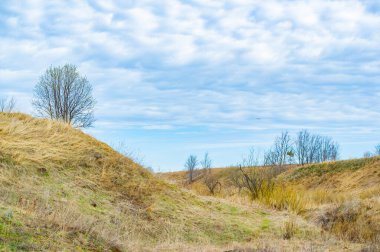 Gelecekteki büyüme ve başarı için zemin hazırla. Tamamen sürülmüş bir tarla ekime hazır. Potansiyel tohumlar ekin ve verimli topraklarda büyümelerini izleyin..