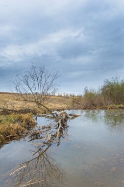 Gizli kunduz banyosu olan gizli bir çöl vahası keşfettim. Kendi spanızda tam bir rahatlama deneyimi yaşayın. Rahatlayın ve Beaver Spa Sahasında gençleşin..