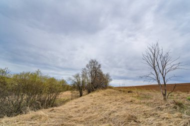 Doğanın güzelliğini yemyeşil bir halının içinde hissedin. Yeni bitki örtüsüyle yeni başlangıçların vaadine tanık olun. Bolluk alanları hayata neşe ve bolluk getirir..