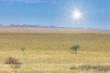Steppe, Prairie, sade, pampa. Çöl her gece renkli bir ışık gösterisi düzenlerken kimin havai fişeğe ihtiyacı olur ki? Doğanın havai fişekleri gibi! Günbatımı Göstergesi