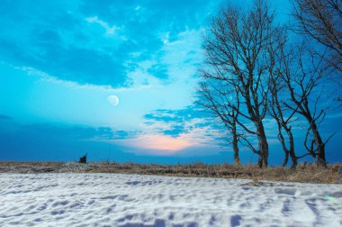 Kışın sonunu ve baharın başlangıcını sembolize eder. Huzurlu ve melankolik bir atmosfer yaratır. Doğadaki geçiş ve değişimi temsil eder..