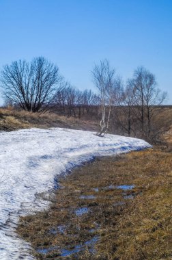 Sarı tarlalar ve kurumuş otlar kışın sonunu simgeler. Yapraksız ağaçlar kıştan bahara geçişi gösterir. Son kar, soğuk havanın son günlerini işaret ediyor.