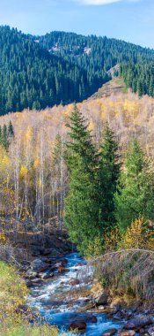 Kendinizi Tien Shan Dağları 'nın büyüleyici güzelliğine daldırın. Doğal manzaraların ferahlatıcı sükunetini hissedin. Görkemli ladin ve huş ağaçlarına hayranlık duyun.,