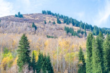 Kendini Tien Shan dağlarının sükunetine bırak. Çam ağaçlarının ve huş ağaçlarının güzelliğinin tadını çıkar. Kayalar arasında heyecan verici bir maceraya atılın..