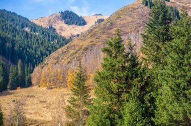 Engebeli Tien Shan dağlarını keşfedin ve güzellikleri sizi büyülesin. Büyüleyici huş ağaçları boyunca dolaş ve doğanın sükunetini hisset. Kayalar arasında heyecan verici bir maceraya atılın.