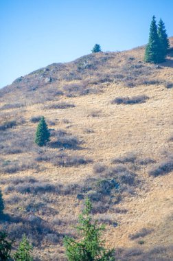 Tien Shan 'ın parlak sonbahar renklerinin tadını çıkar. Kendini doğanın orkestrasına ver. Karşıt bir palete dal.