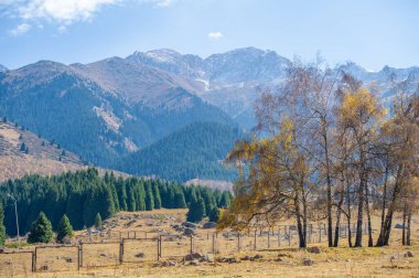 Sonbaharda Tien Shan dağlarının çarpıcı güzelliğini tecrübe edin. Kendinizi canlı yeşilliklere ve nefes kesici manzaraya daldırın. Yürüyüş, fotoğraf ve gözlem gibi doğa aktivitelerinin keyfini çıkarın.