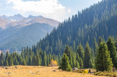 Kendini Tien Shan Dağlarının dingin güzelliğine daldır. Yürürken sonbahar cazibesini hisset. Yeşillik ve renkli çiçeklerle çevrili huzurlu bir atmosferin tadını çıkar..