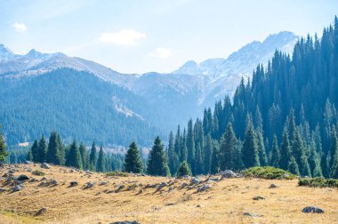Tien Shan dağlarındaki sonbaharın güzelliğini hisset. Yeşillik ve renkli çiçeklerle dolu huzurlu bir gezintinin tadını çıkar. Bu yamaçtaki yeri keşfederken kendinizi sükunete daldırın.