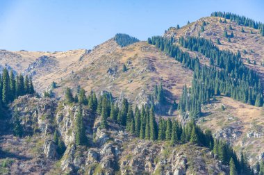 Sonbahar Tien Shan dağlarının çarpıcı güzelliğinin tadını çıkar. Canlı yaprakların ve yükselen tepelerin muhteşem manzarası. Doğayı sevenlerin sonbaharın sihrine kapılmaları için cennet gibi bir yer..