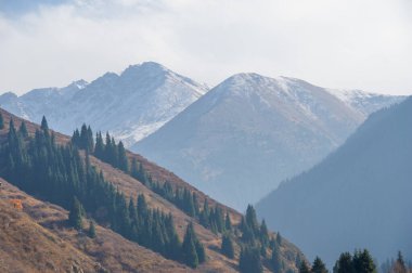 Yüksek dağlarla çevrili bu orman mevsimler değiştikçe yaprakları canlı renklerle parlarken sonbaharın özünü somutlaştırıyor. Doğanın kucağında kaybolun ve kucaklaşın