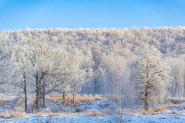 Gün doğumunda karla kaplı bir tarlanın güzelliğini hissedin. Kendini doğaya daldır ve uzun ağaçlara hayran ol. Dokunulmamış otların kabarık beyaz tabakaların altından dışarı baktığını keşfet..