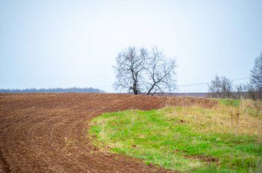 Caring Earth hasat sezonunun yenilenmesini ve bolluğunu tecrübe edin. Güneşli tarlalarda fısıldayan hikayeleri keşfedin. Yaşam döngüsünü ve Dünya 'nın cömertliğini kutlayın..