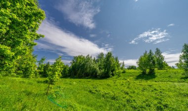 Bulutlu bir gökyüzü olan bahar manzarası. Su çayırları, seller, vadiler. Nehre yakın bir yerde, çoğunlukla nehir çökeltilerinden oluşmuş ve sele maruz kalmış bir alan..