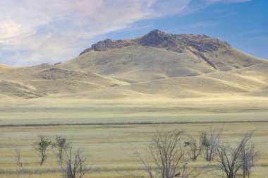 Çayır, düz, çöl. Çöl ufku gün ışığına veda eder ve kurak alan karanlık tarafından yutulur. Yalnız Günbatımı. Güle güle Alacakaranlık