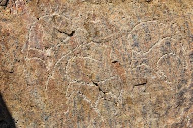 Petroglyphs bozkırlarında antik kaya sanatını keşfedin. Bu taşları yaratan insanların tarihi ve kültürü hakkında bilgi edinin. Bu taşların bulunduğu güzel manzaraları keşfedin.
