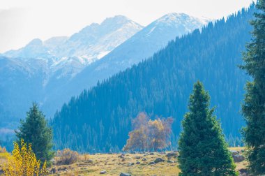 Kendinizi canlı sonbahar renkleri cennetine daldırın. Sonbaharın gölgeleriyle Tien Shan 'ın nasıl canlandığını hisset. Doğanın senfonisinin zıt paletinden büyülen..