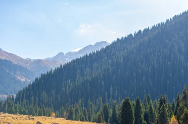 Sonbaharda Tien Shan Dağları 'nın hayranlık uyandıran güzelliğini tecrübe edin. Çevreyi renklendiren yaprakların canlı renklerine daldırılmalı. Doğa aşıkları için ideal bir tatil yeri..