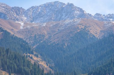 Tien Shan dağlarının güzelliğini ve dinginliğini hisset. Bereketli yeşil çam ağaçlarının arasında sakin bir gezinti yap. Manzarayı süsleyen canlı çiçeklere hayran olun..