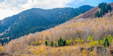 Sonbaharda Tien Shan 'ın nefes kesici güzelliğini tecrübe et. Çevrenizdeki canlı yapraklara ve yeşil çam ağaçlarına tanık olun. Yılın bu zamanında kendini doğanın çarpıcı renklerine daldır..