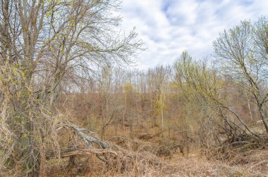 Doğanın güzelliğini yemyeşil bir halının içinde hissedin. Yeni bitki örtüsüyle yeni başlangıçların vaadine tanık olun. Bolluk alanları hayata neşe ve bolluk getirir..