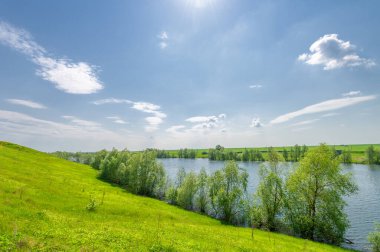 Bahar fotoğrafı, söğüt ağacı, parlak yeşillik, bulutlu mavi gökyüzü, harika bahar havası.