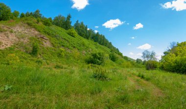 Yaz, tepe, tepeler, huş ağaçları dağların yamaçlarında büyürler. Yamaç boyunca dönen toprak bir yol, sıcak yaz günleri.