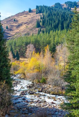 Kendinizi sonbaharın huzurlu güzelliğine daldırın. Canlı bir ormanın içinde dolaşan kristal gibi berrak bir nehir keşfedin. Tien Shan 'ın nefes kesici dağlarını tecrübe et..