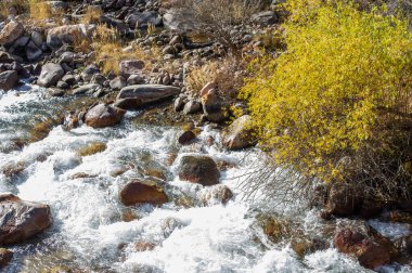 Sonbaharın dingin güzelliğine dalın. Canlı ormanların içinden akan berrak nehrin tadını çıkar. Tüm ihtişamıyla Tien Shan dağlarını keşfedin.