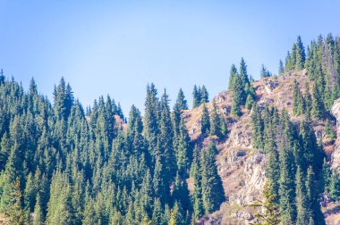 Sonbaharda doğanın nefes kesici güzelliğinin tadını çıkar. Canlı yapraklar ve yemyeşil çamlar büyüleyici bir çiçek örtüsü oluşturur. Arka planda yüksek dağların görkemli manzarasına hayran kalabilirsiniz..