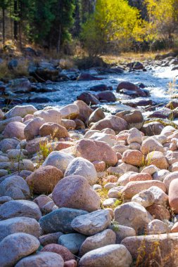 Tien Shan 'ın dinginliğine dalın. Kendini doğanın rahatlatıcı melodisine daldır. El değmemiş nehir, dağların ortasındaki yemyeşil ormanda zarifçe akıyor..