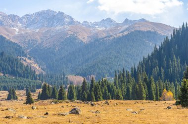 Sonbaharda Tien Shan dağlarının nefes kesici güzelliğinin tadını çıkar. Huzurlu ve huzurlu bir çevrede bir gezinti yap. Doğanın canlı renklerinin, yemyeşil ve canlı çiçeklerinin tadını çıkar..