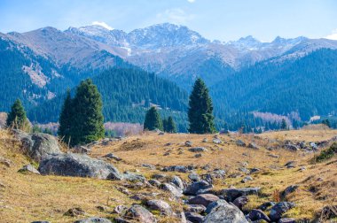 Tien Shan dağlarının dinginliğini hisset. Kendini doğanın rahatlatıcı melodisine daldır. Görkemli dağın kalbinde yemyeşil ormanlardan akan el değmemiş bir nehre tanık olun.