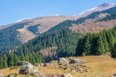Sonbaharın görkemli zirvelerdeki güzelliğini hisset. Kendinizi sıcak altın renklere ve yemyeşil ormanlara daldırın. Doğanın çarpıcı renk oyununda ilham bul. Sonbaharın özünü yakala.