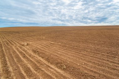 Başarılı ürün büyümesi için zemin hazırlayın. Tamamen sürülmüş bir tarla tohum ekmeye hazır. Bereketli toprak bereketli bir hasat garantisi verir..