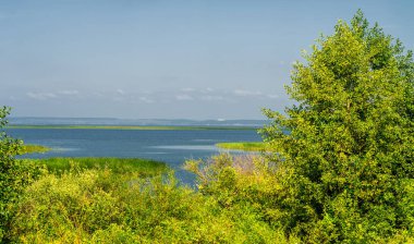 Yaz manzarası. Dünyanın Avrupa bölgesindeki bir nehir. Güneşli sıcak bir gün. Yeşil ağaçlar, çimenler. Mavi gökyüzü küçük bir bulut örtüsüyle.