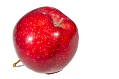 Beyaz arka planda elma. Elma ağacı - gerçek güzelliğin bir örneği