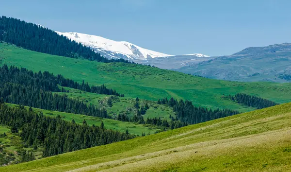 Dağlarda yaz. Dağlar hem bir yolculuk hem de bir hedeftir. Bizi yamaçlarına tırmanmaya, kanyonlarını keşfetmeye ve zirvelerine tırmanmaya zorluyorlar..