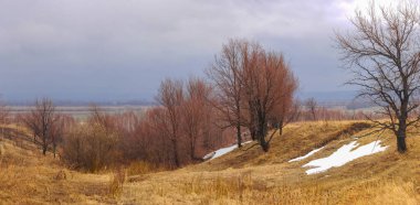 Sarı alanlar ve seyrek otlar kıştan bahara geçiş sinyalleri veriyor. Yapraksız çıplak ağaçlar, kışın sonunu simgeliyor. Erimeden önce kalan son kar parçaları da toprağa yapışmış..